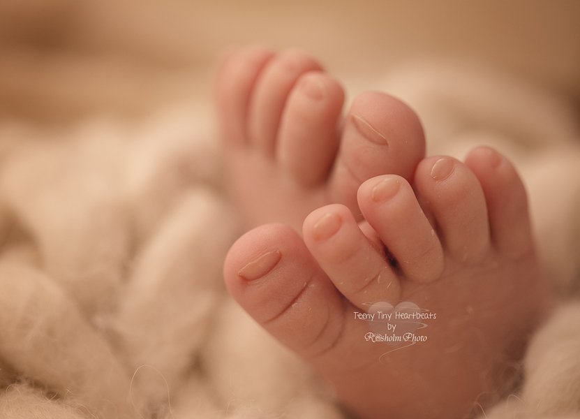 små nyfødte tæer - nærbillede