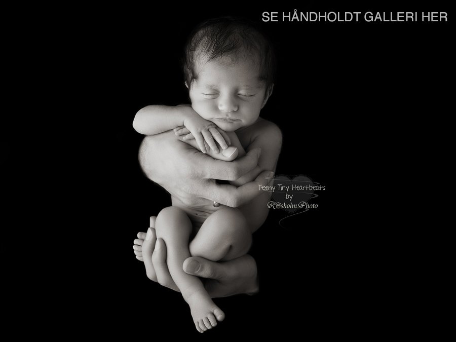 Nyfødtbillede-i-fars-hænder-Nyfødtfotografering Teeny Tiny Heartbeats